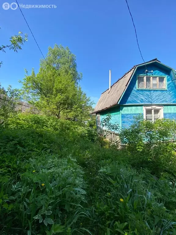 Участок в Раздольненский сельсовет, СНТ Космос, Цветочная улица (5.4 ... - Фото 1