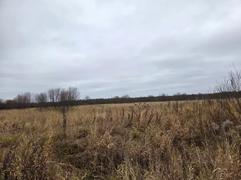 Участок в Ярославская область, Рыбинский муниципальный округ, д. ... - Фото 2