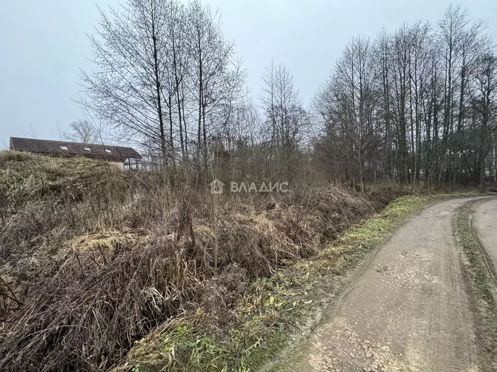 Участок в Владимирская область, Судогодский район, д. Погребищи ул. ... - Фото 2