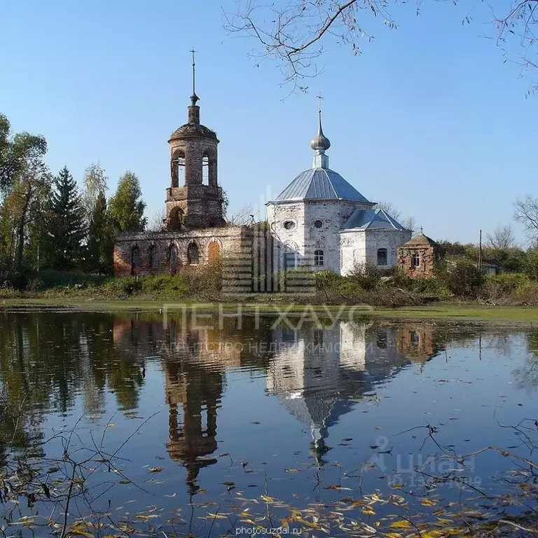 Участок в Владимирская область, Суздальский район, Селецкое ... - Фото 1