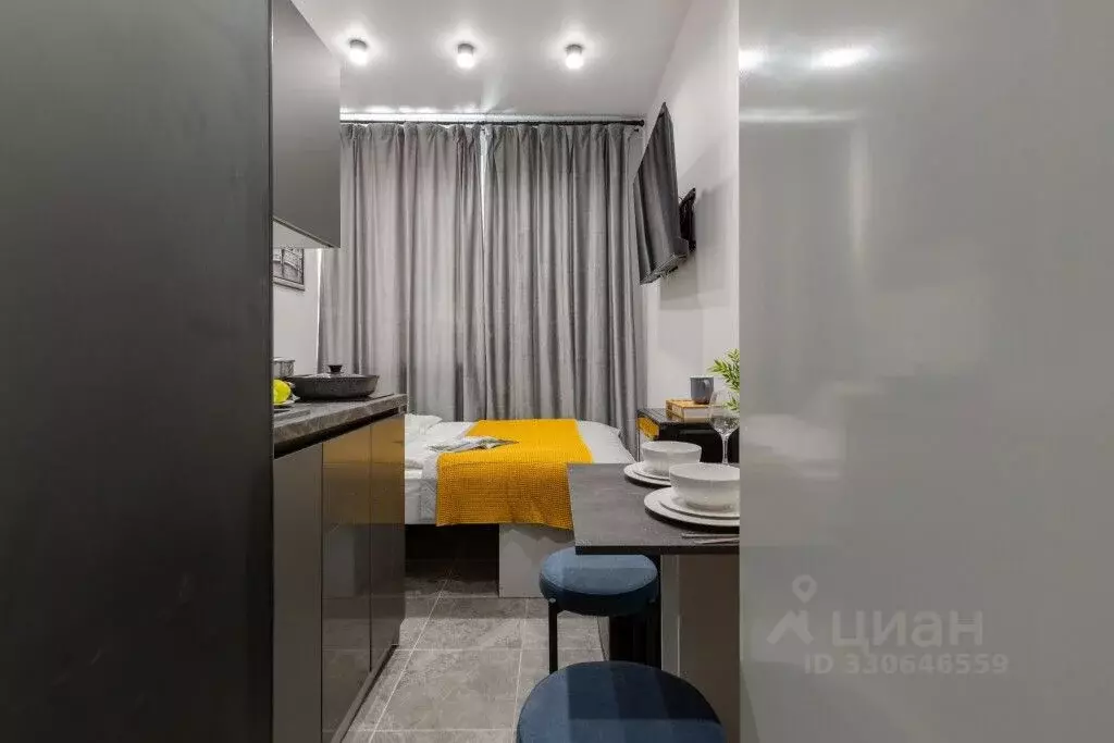 Студия Санкт-Петербург Бумажная ул., 22к2 (10.0 м) - Фото 2