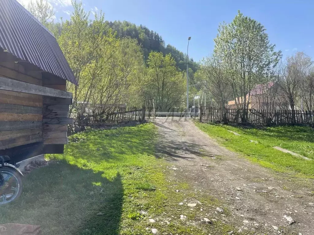 Дом в Алтай, Майминский район, Соузгинское с/пос, пос. Черемшанка ул. ... - Фото 1