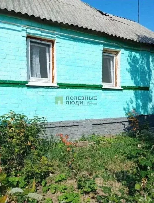 Дом в Белгородская область, Корочанский район, Ломовское с/пос, с. ... - Фото 2