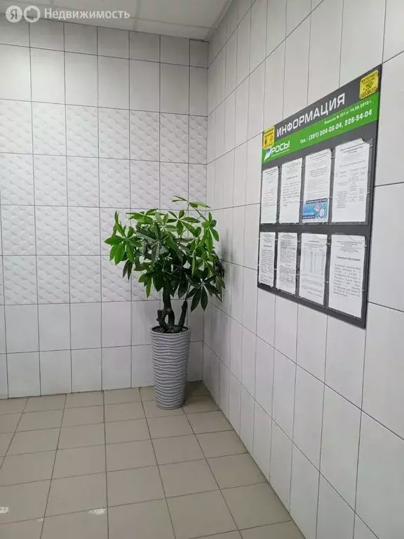 1-комнатная квартира: Красноярск, Норильская улица, 34 (43 м) - Фото 0