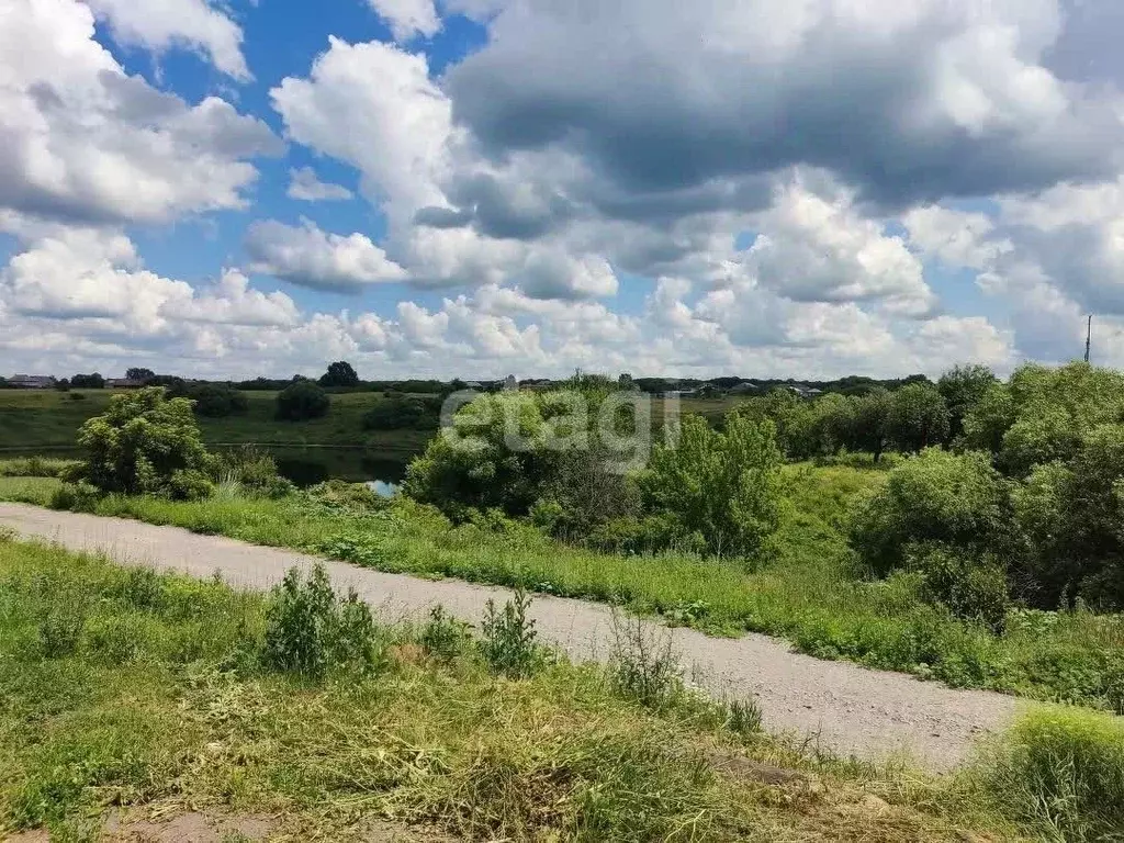 Дом в Воронежская область, Грибановский пгт пер. Кольцова, 10 (122 м) - Фото 1