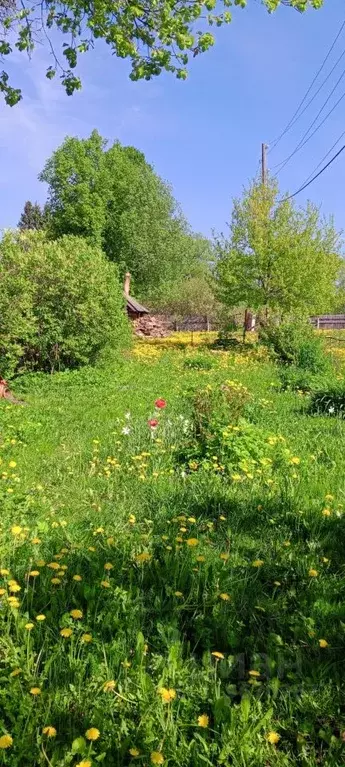 Участок в Тверская область, Конаковский муниципальный округ, д. ... - Фото 2
