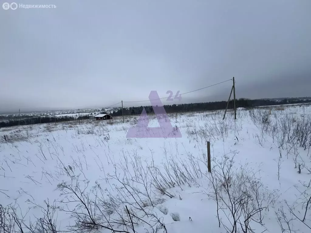 Участок в Пермский муниципальный округ, село Башкултаево (3.2 м) - Фото 2