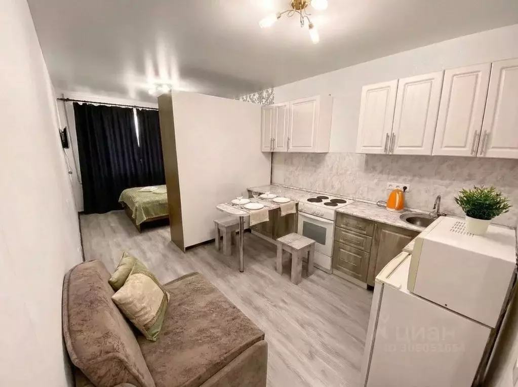 Студия Саратовская область, Саратов Огородная ул., 157 (27.0 м) - Фото 1