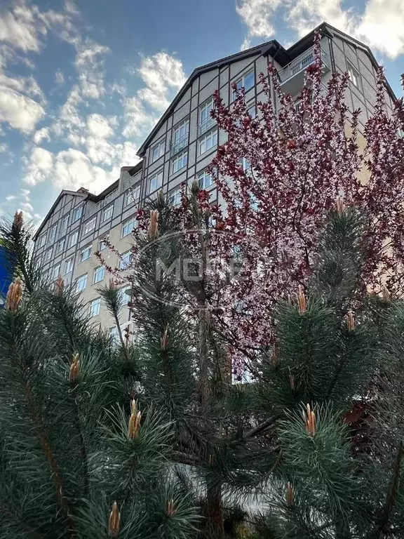 1-к. квартира, 36,7 м, 7/7 эт. - Фото 1