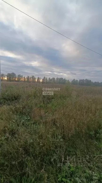 Участок в Башкортостан, Благоварский район, Языковский сельсовет, с. ... - Фото 2