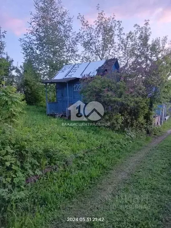 Участок в Новосибирская область, Новосибирск Алый Рассвет СНТ, 122 ... - Фото 1