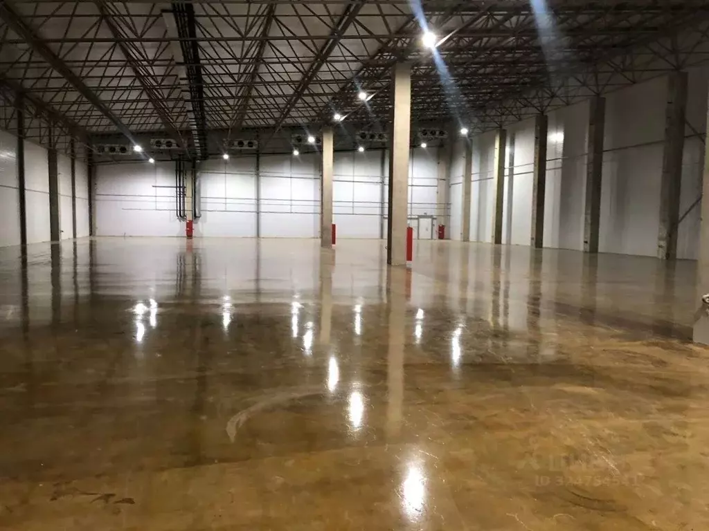 Склад в Ленинградская область, Ломоносовский район, Лаголовское с/пос, ... - Фото 1