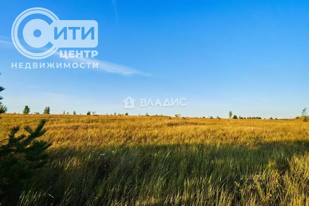 Участок в Воронежская область, Воронеж ул. Генерала Раевского (8.0 ... - Фото 1