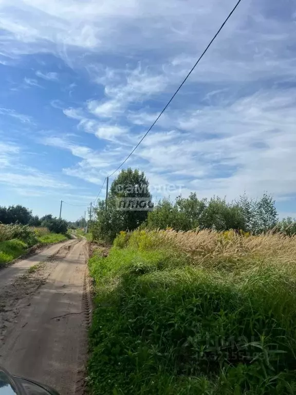 Участок в Ивановская область, Ивановский район, Новоталицкое с/пос, д. ... - Фото 2