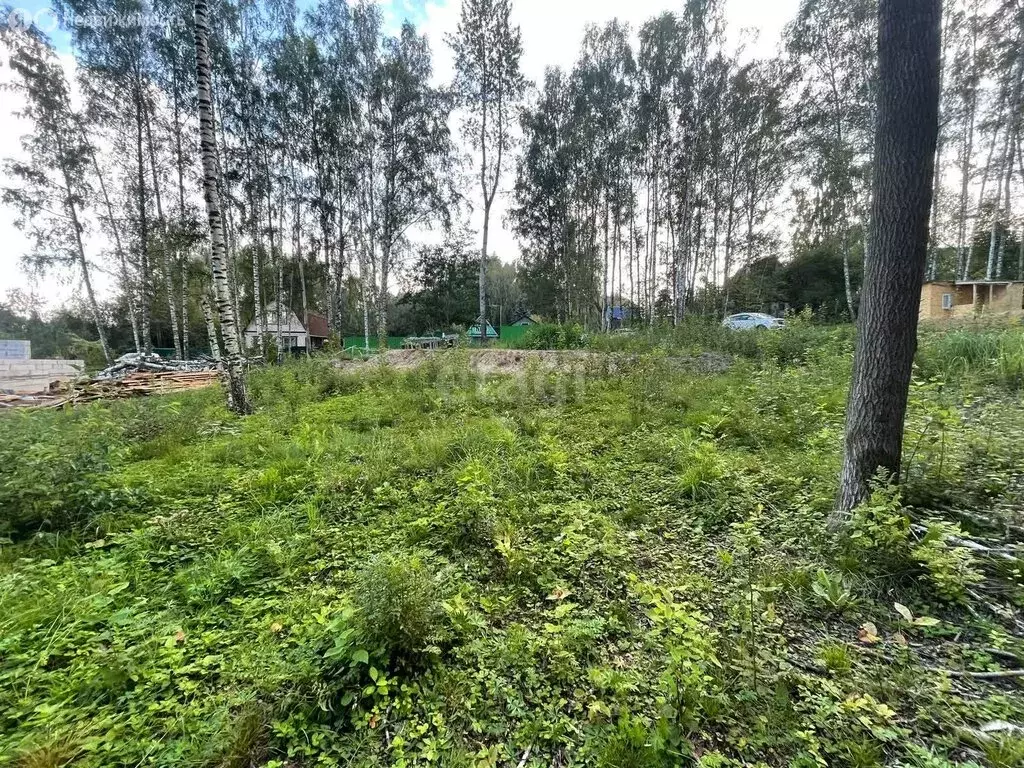 Участок в Дмитровский городской округ, деревня Кончинино (10.4 м) - Фото 1