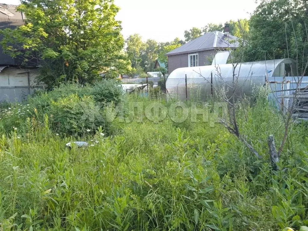 Участок в Новосибирская область, Новосибирский район, Раздольненский ... - Фото 2