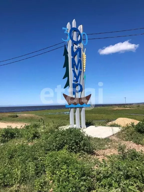 Дом в Бурятия, Кабанский район, с. Оймур  (40 м) - Фото 0