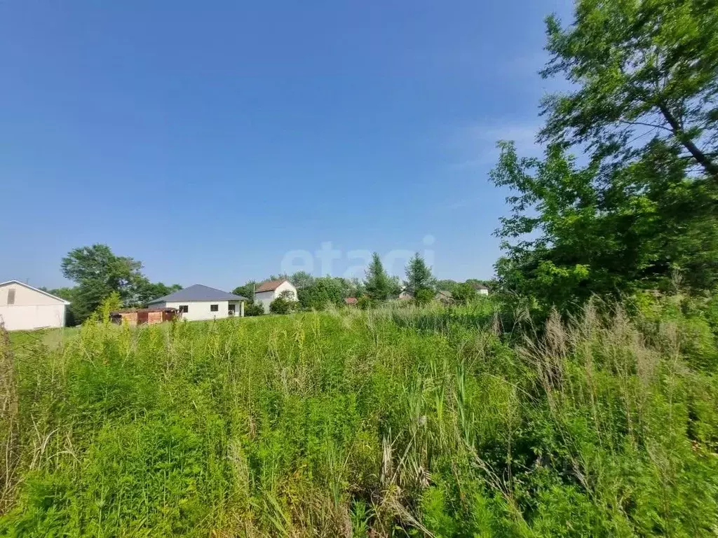 Участок в Приморский край, Артемовский городской округ, с. Кневичи  ... - Фото 1