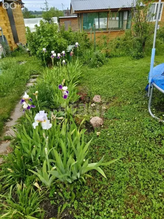 Дом в Новосибирск, садовое товарищество Дружба (40 м) - Фото 1