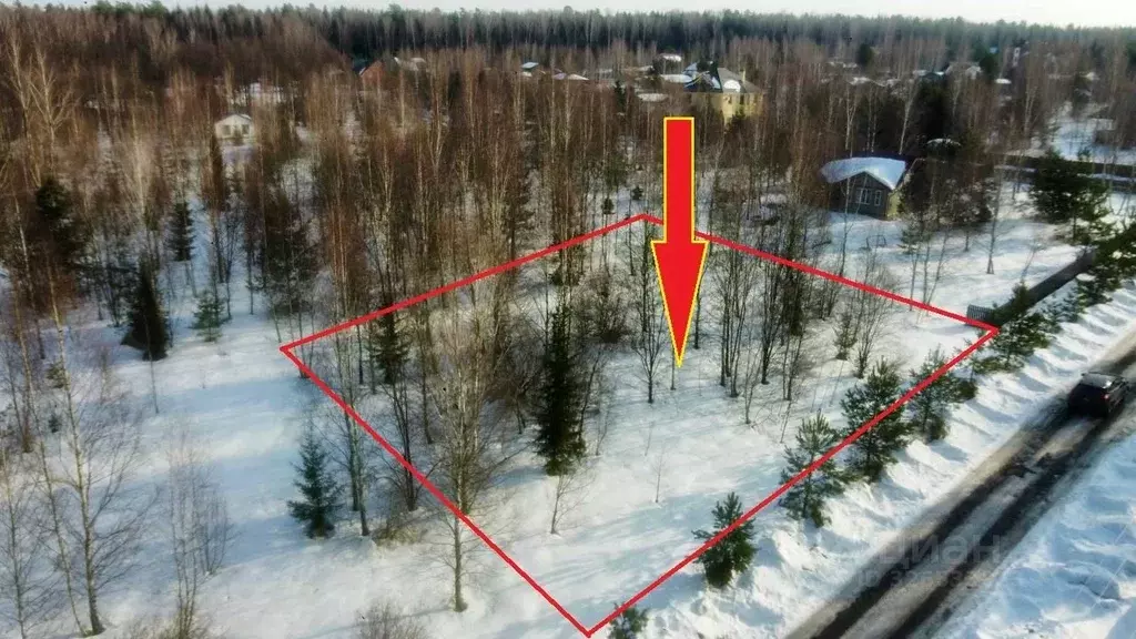 Участок в Калужская область, Тарусский муниципальный округ, Волковское ... - Фото 1