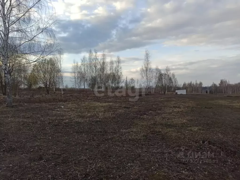 Участок в Брянская область, Брянский район, Снежское с/пос, с. ... - Фото 1
