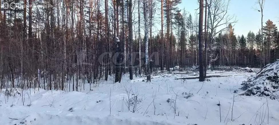 Участок в Тюменская область, Нижнетавдинский муниципальный округ, село ... - Фото 2