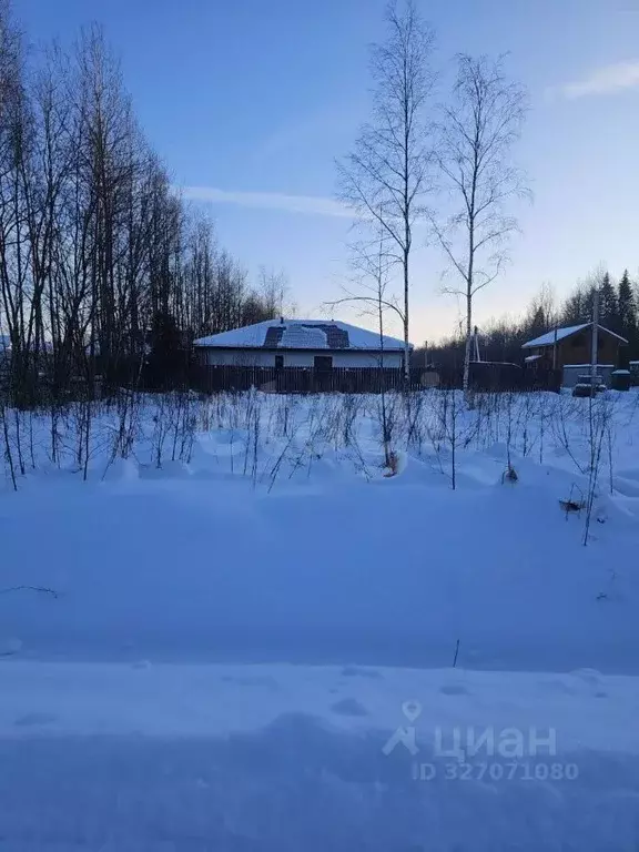 Участок в Ленинградская область, Всеволожский район, Рахьинское ... - Фото 2