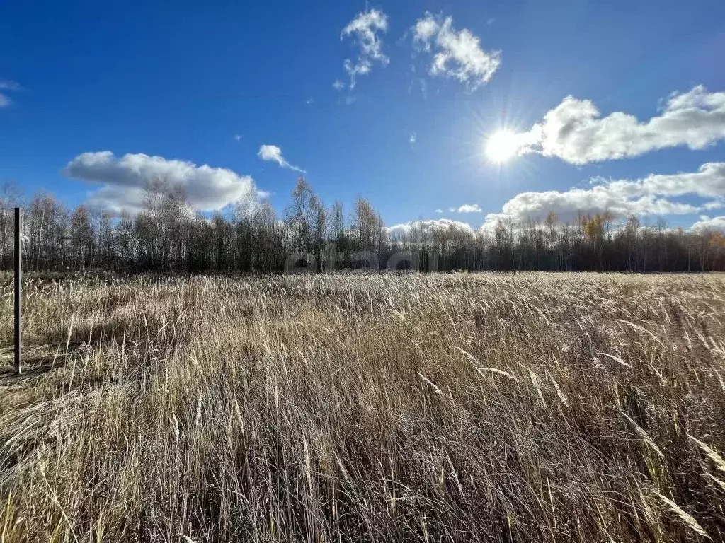 Участок в Тульская область, Тула городской округ, с. Федоровка ул. ... - Фото 1