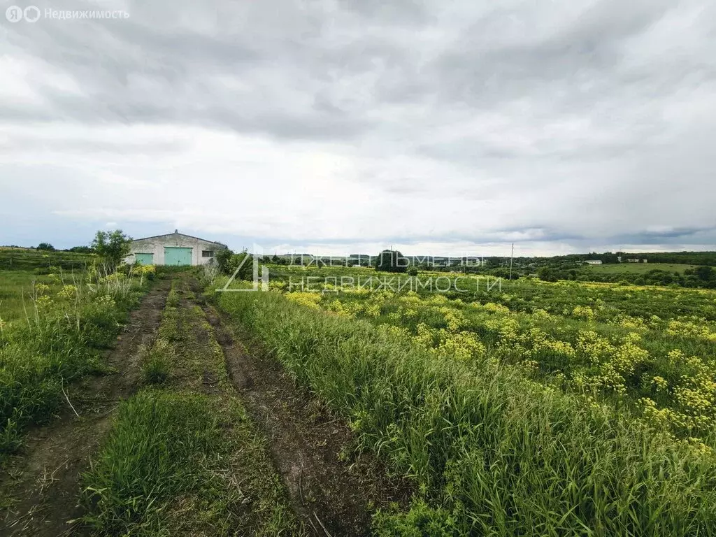 Участок в Каменский район, село Анучино (1.2 м) - Фото 2