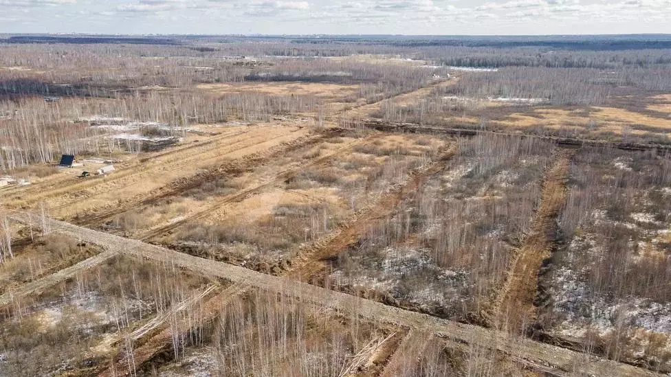 Участок 6 сот. (СНТ, ДНП) - Фото 1