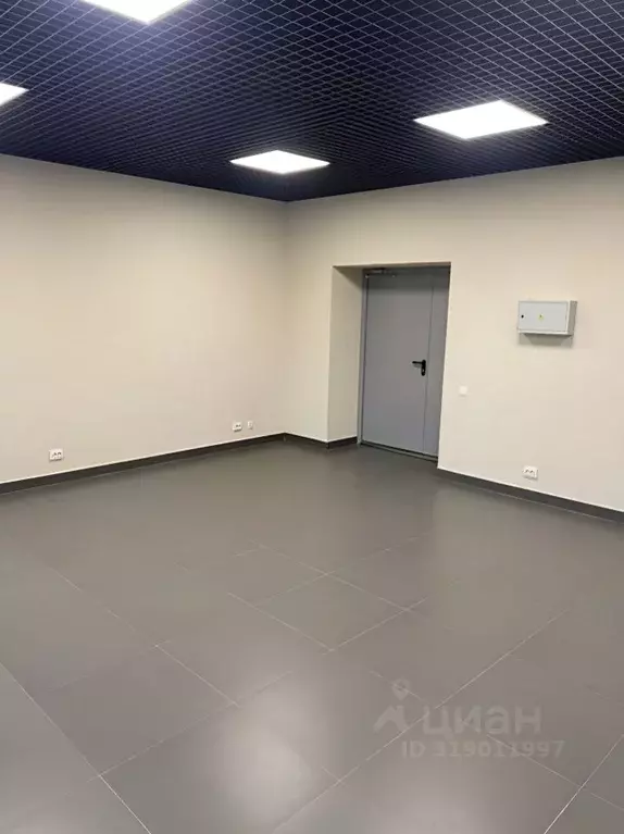 Офис в Ленинградская область, Всеволожск ул. Шишканя, 12 (33 м) - Фото 1