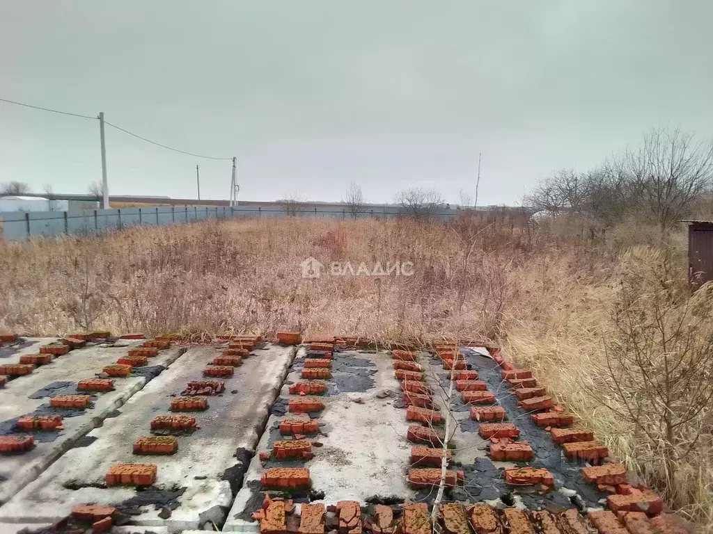 Участок в Московская область, Луховицы муниципальный округ, с. ... - Фото 1