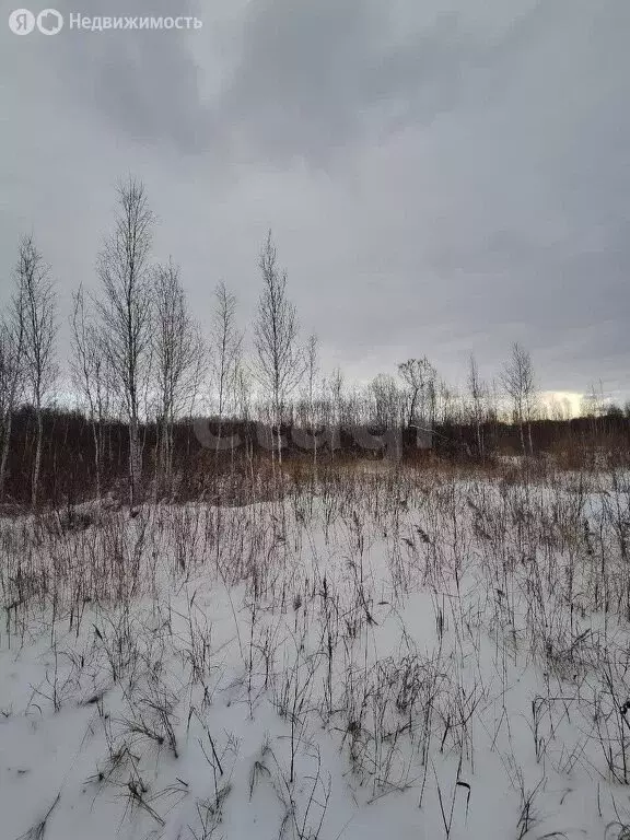 Участок в Нижнетавдинский район, СНТ Сочинские, 24-я линия (9.25 м) - Фото 0