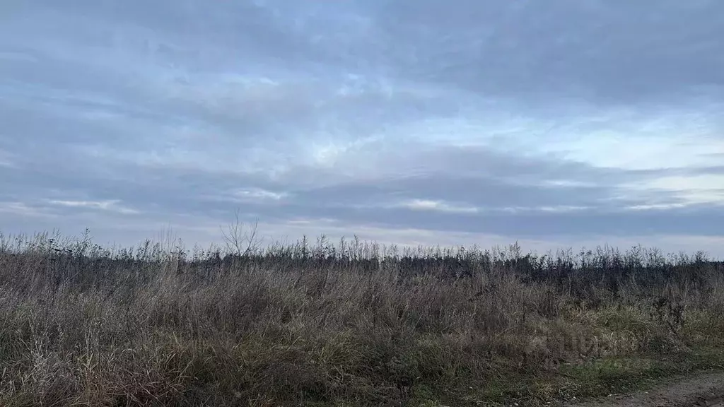 Участок в Московская область, Ступино городской округ, д. Зевалово  ... - Фото 1