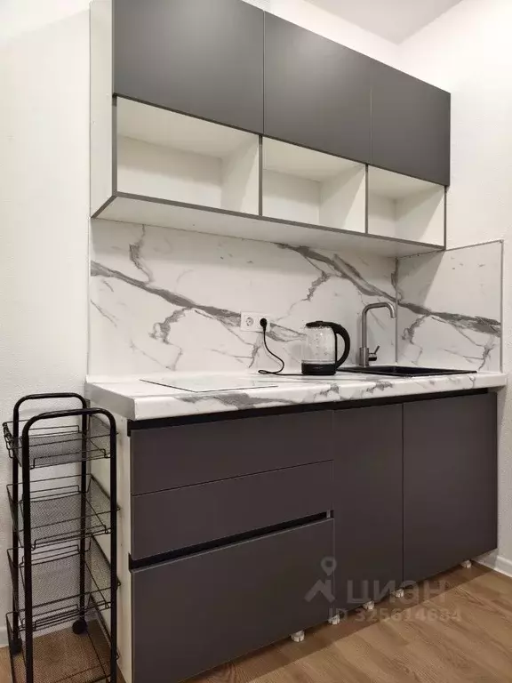 Студия Московская область, Красногорск городской округ, пос. ... - Фото 2