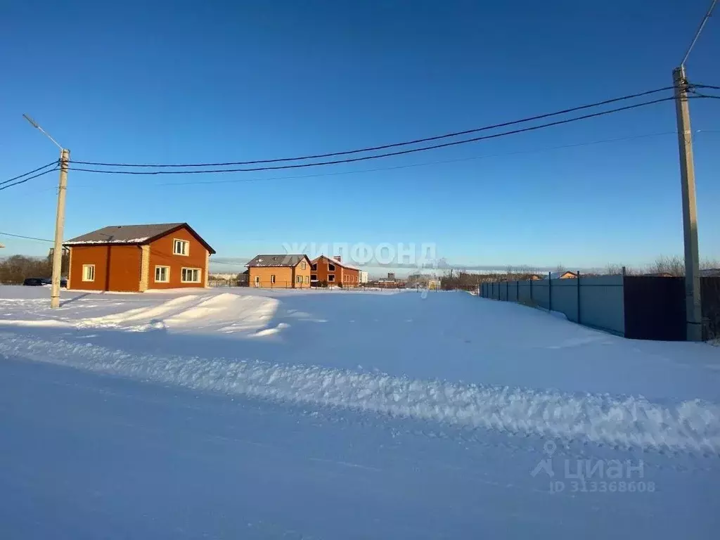 Участок в Новосибирская область, Новосибирский район, Мичуринский ... - Фото 1