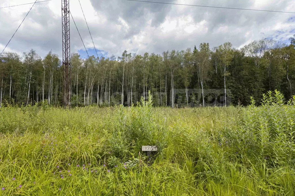 Участок в Наро-Фоминский городской округ, садовое товарищество ... - Фото 1