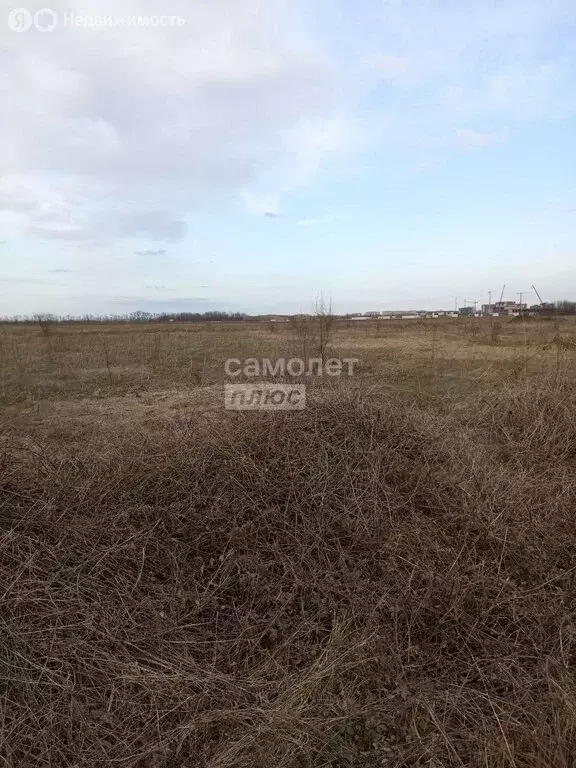 Участок в хутор Гавердовский, улица Шевченко (6.8 м) - Фото 1