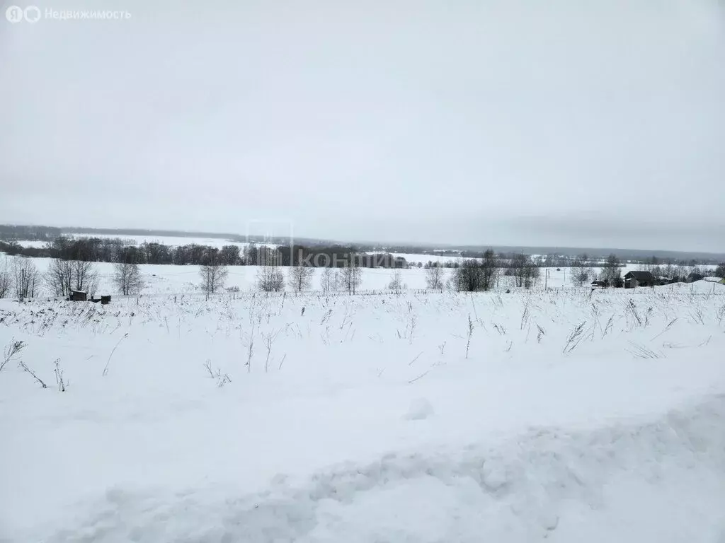 Участок в Владимирская область, Собинский муниципальный округ, деревня ... - Фото 1