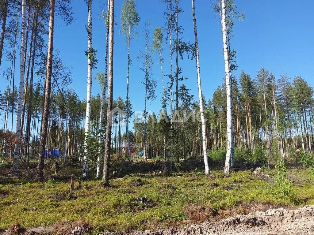 Участок в Коми, Сыктывкар городской округ, Краснозатонский пгт ул. ... - Фото 1