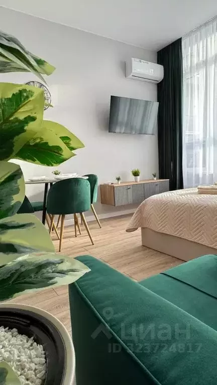 Студия Краснодарский край, Краснодар ул. Ивана Беличенко, 90к1 (22.0 ... - Фото 2