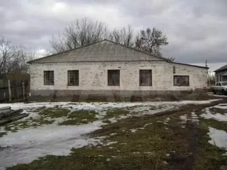 Сдам помещение свободного назначения, 185.5 м - Фото 1