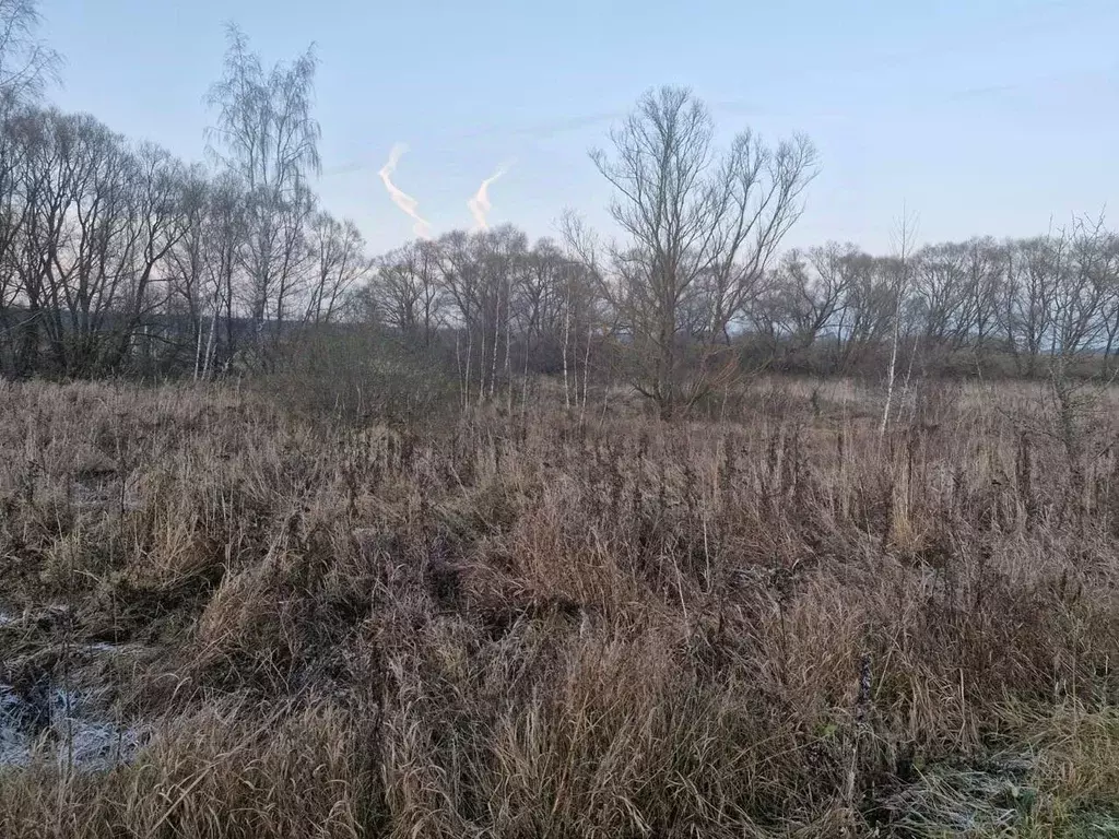 Участок в Московская область, Ступино городской округ, д. Авдулово-2 ... - Фото 1