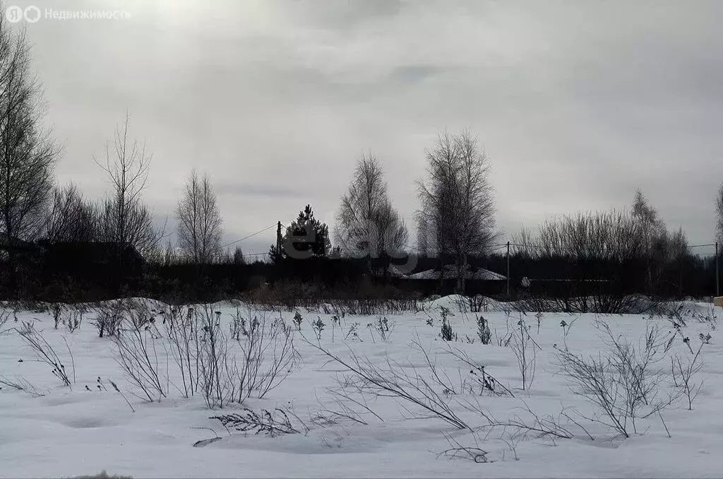 Участок в Кострома, Фабричный район, улица Владимира Люсина (10.6 м) - Фото 1