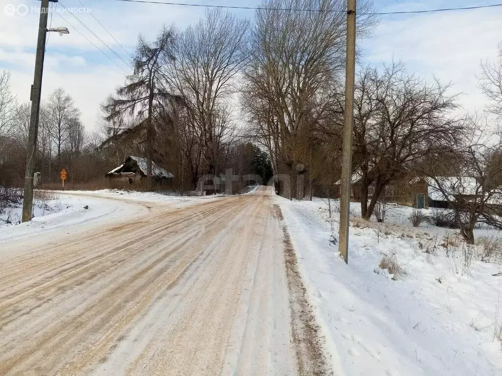 Участок в деревня Шики, Центральная улица (76 м) - Фото 1