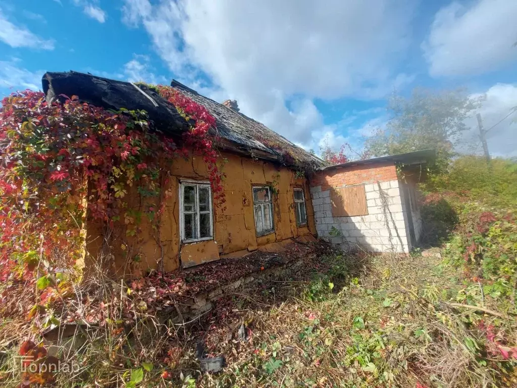 Дом в Тульская область, Дубенский район, Протасовское с/пос, с. ... - Фото 1