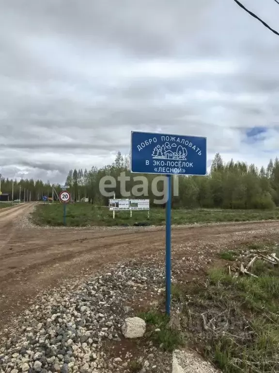 Участок в Пермский край, Добрянский городской округ, д. Залесная ул. ... - Фото 1