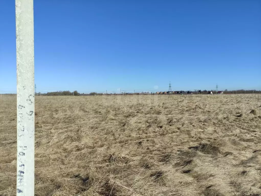 Участок в Псковская область, Псковский район, Завеличенская волость, ... - Фото 2