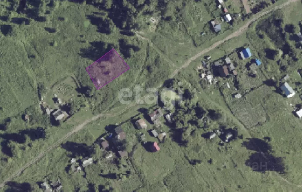 Участок в Новосибирская область, Мошковский район, пос. Кошево  (8.3 ... - Фото 1