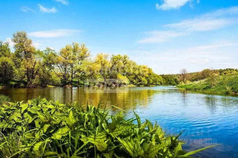 Участок, 10 сот., поселения (ижс) - Фото 1